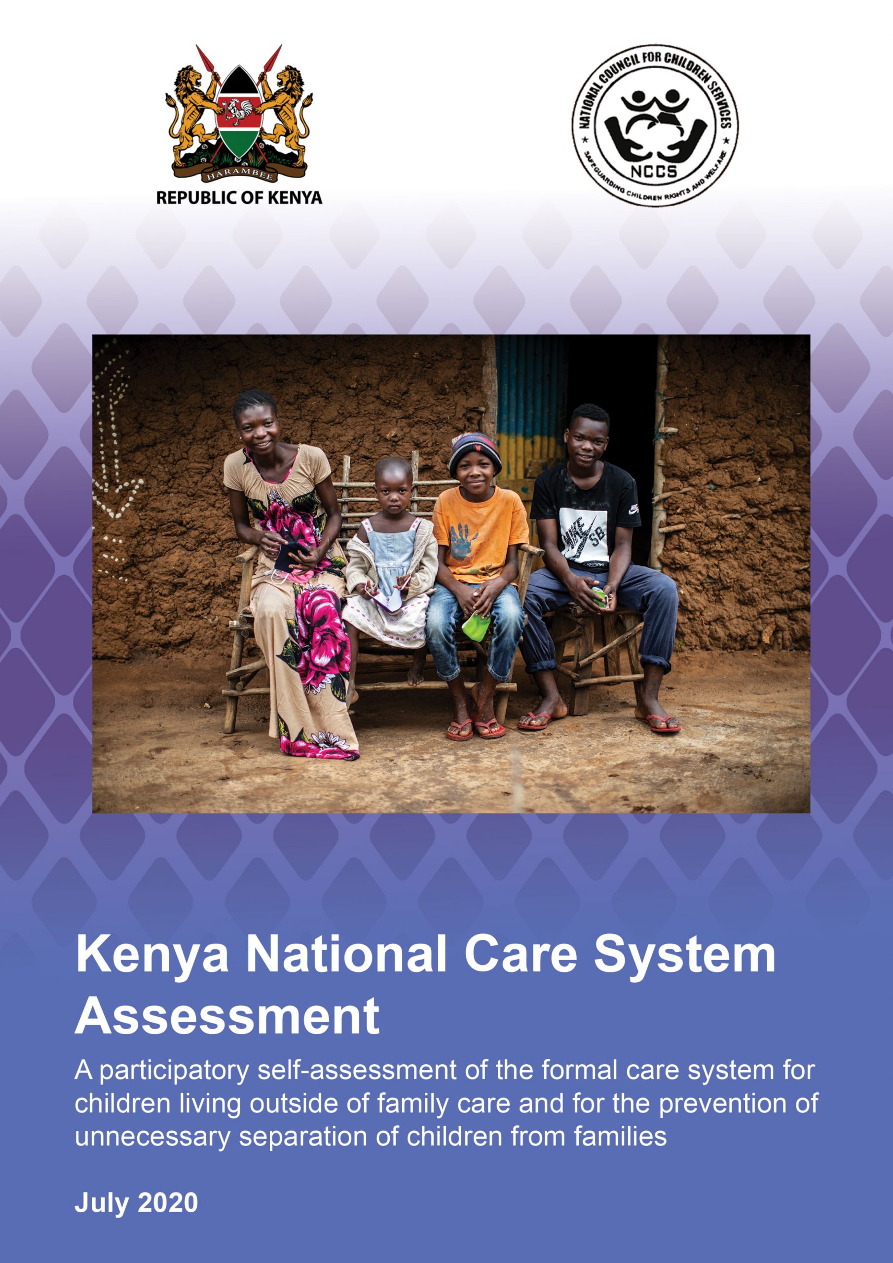 Kenya National Care System Assessment